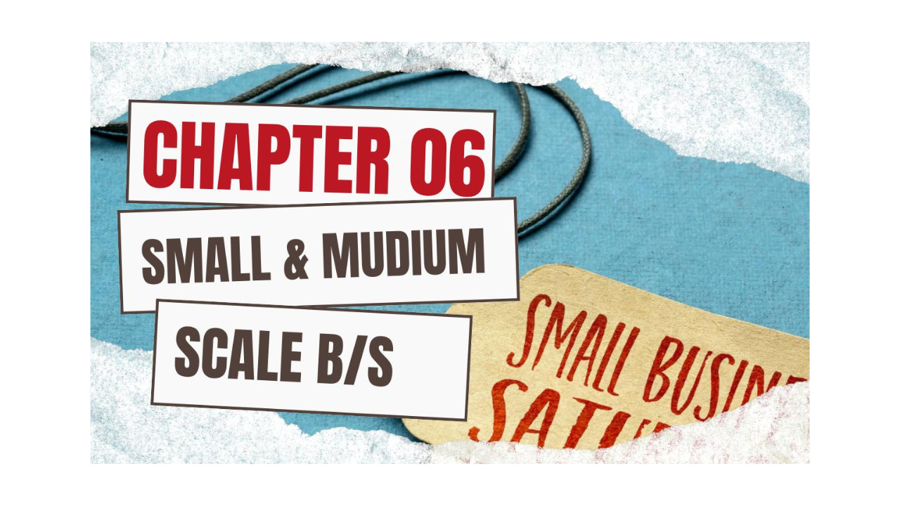 CH-06 SMALL & MEDIUM SCALE BUSINESS